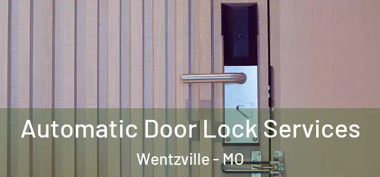 Automatic Door Lock Services Wentzville - MO