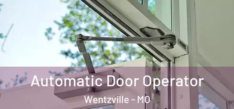 Automatic Door Operator Wentzville - MO
