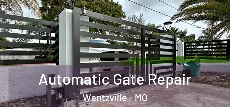 Automatic Gate Repair Wentzville - MO