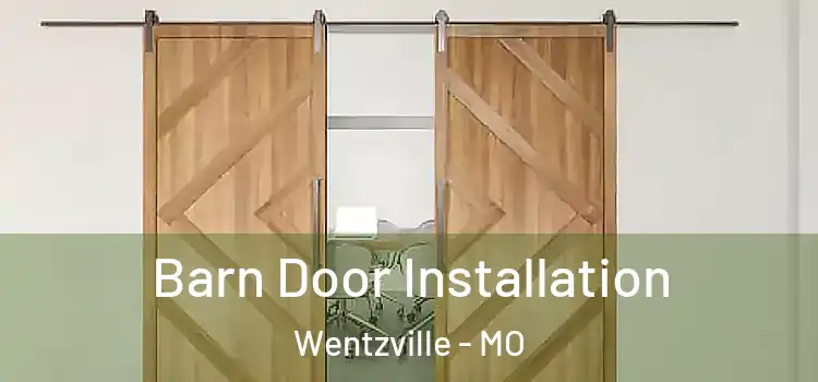  Barn Door Installation Wentzville - MO