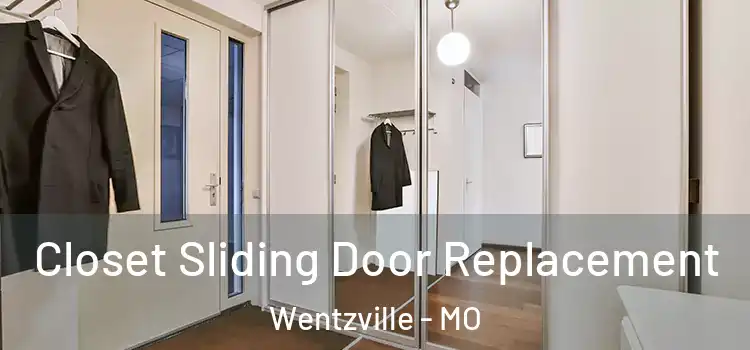Closet Sliding Door Replacement Wentzville - MO