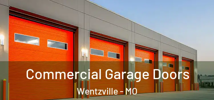  Commercial Garage Doors Wentzville - MO