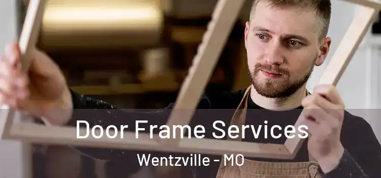 Door Frame Services Wentzville - MO