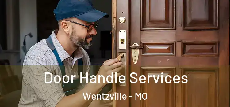 Door Handle Services Wentzville - MO