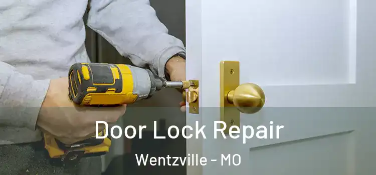 Door Lock Repair Wentzville - MO