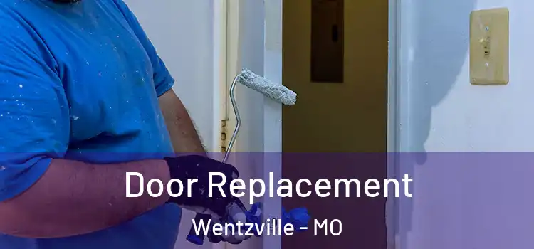 Door Replacement Wentzville - MO