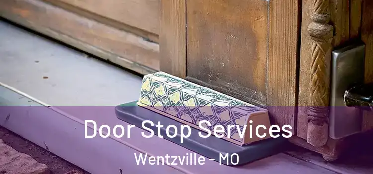 Door Stop Services Wentzville - MO