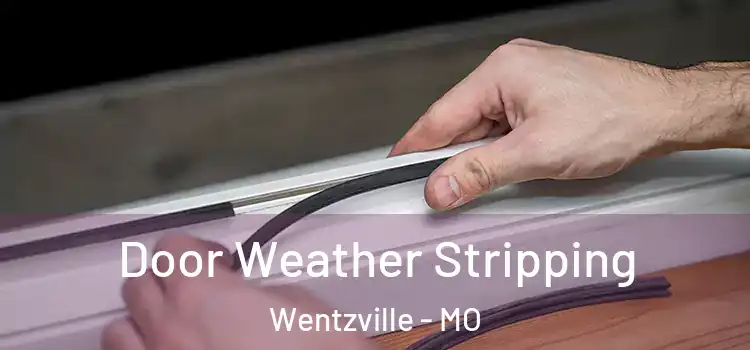 Door Weather Stripping Wentzville - MO