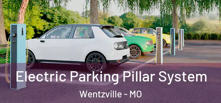 Electric Parking Pillar System Wentzville - MO