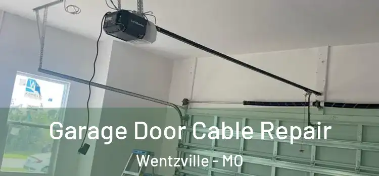 Garage Door Cable Repair Wentzville - MO