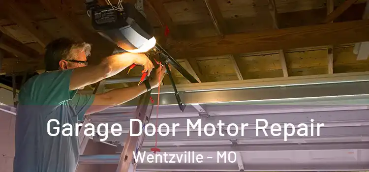 Garage Door Motor Repair Wentzville - MO