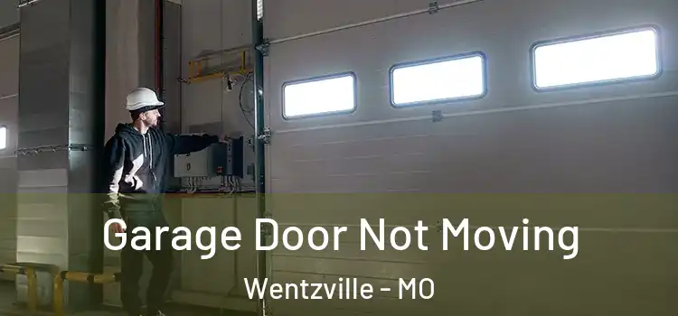  Garage Door Not Moving Wentzville - MO
