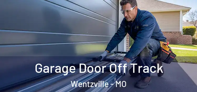  Garage Door Off Track Wentzville - MO