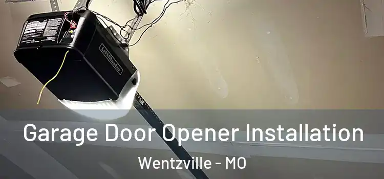  Garage Door Opener Installation Wentzville - MO