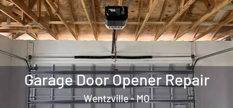  Garage Door Opener Repair Wentzville - MO