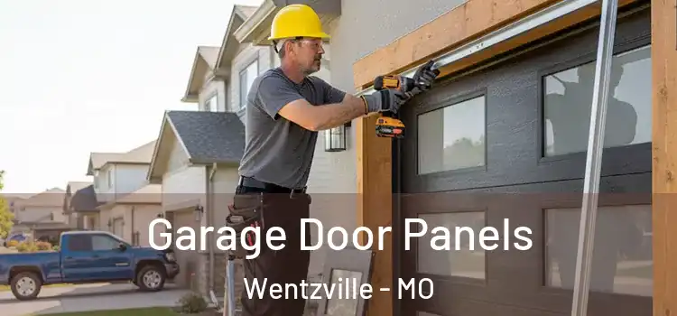  Garage Door Panels Wentzville - MO