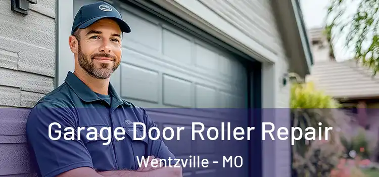  Garage Door Roller Repair Wentzville - MO
