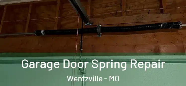  Garage Door Spring Repair Wentzville - MO