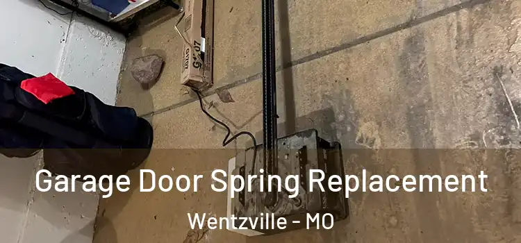  Garage Door Spring Replacement Wentzville - MO