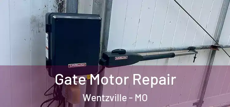 Gate Motor Repair Wentzville - MO