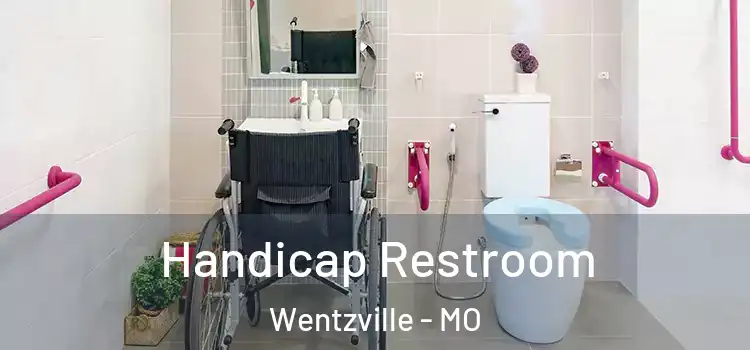 Handicap Restroom Wentzville - MO