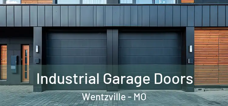  Industrial Garage Doors Wentzville - MO