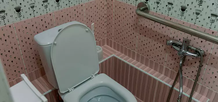 Meeting Diverse Needs With Accessible Restroom Solutions in Wentzville, MO