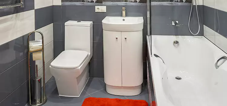 Hansgrohe Shaving Mirror Wentzville