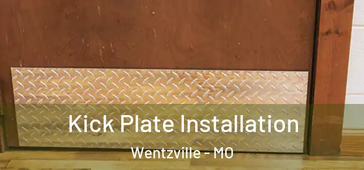  Kick Plate Installation Wentzville - MO