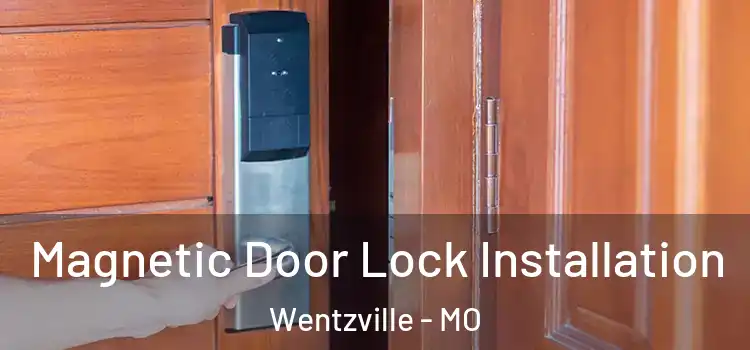  Magnetic Door Lock Installation Wentzville - MO