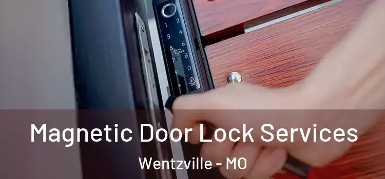 Magnetic Door Lock Services Wentzville - MO