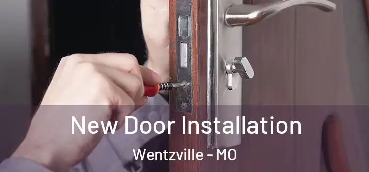 New Door Installation Wentzville - MO
