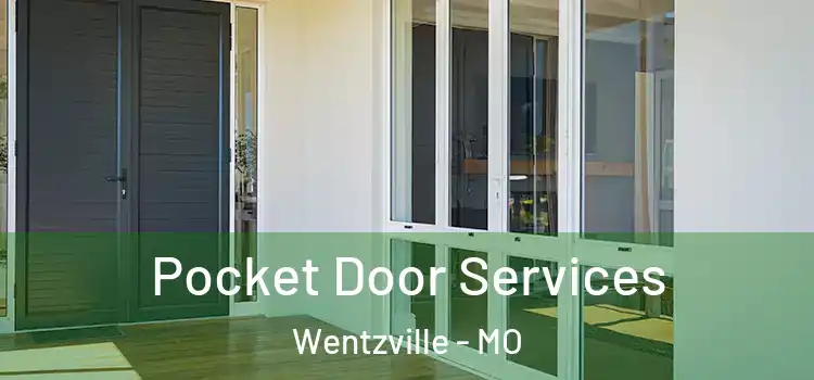 Pocket Door Services Wentzville - MO