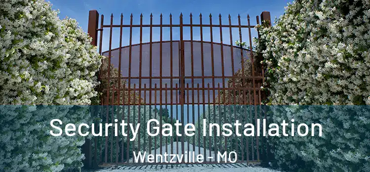 Security Gate Installation Wentzville - MO