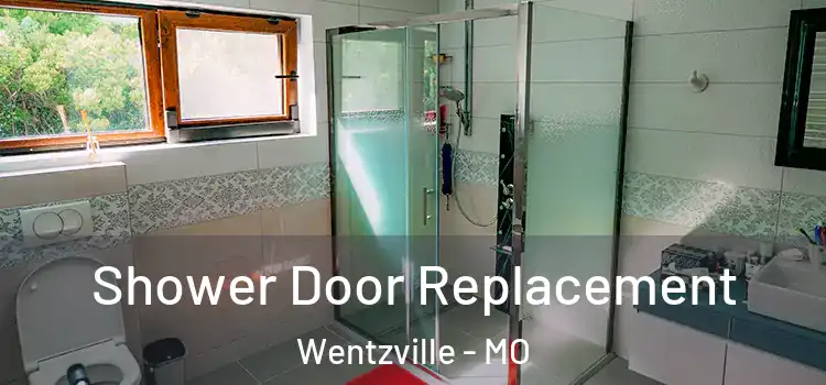 Shower Door Replacement Wentzville - MO