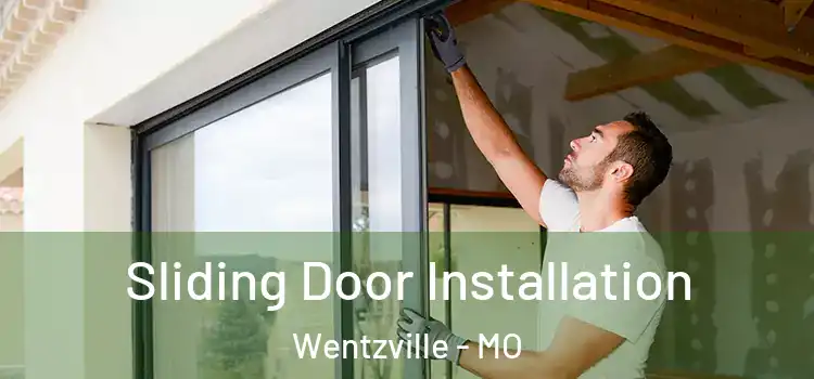 Sliding Door Installation Wentzville - MO