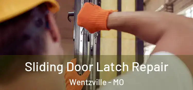  Sliding Door Latch Repair Wentzville - MO
