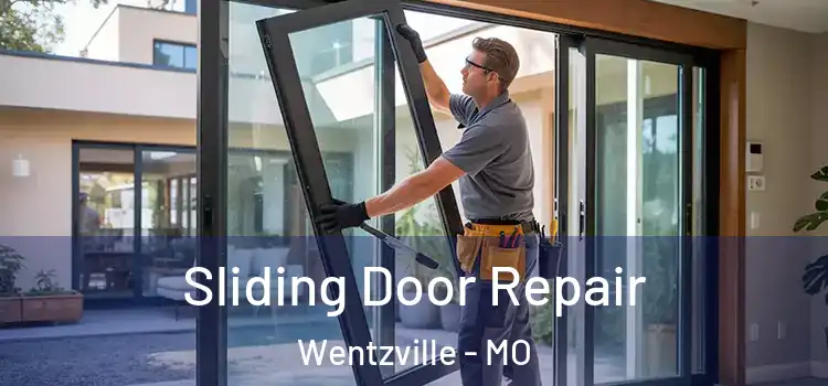 Sliding Door Repair Wentzville - MO