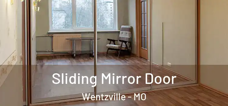  Sliding Mirror Door Wentzville - MO