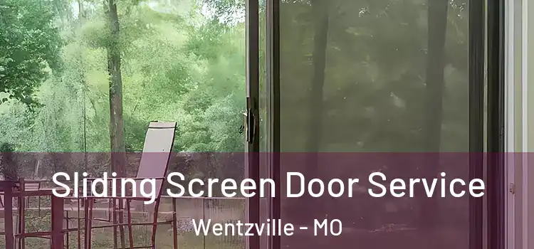 Sliding Screen Door Service Wentzville - MO